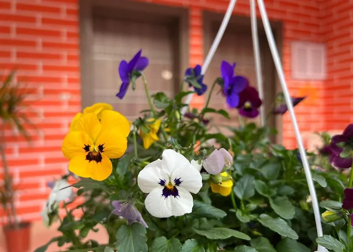 Chestnut Yard * 티라나